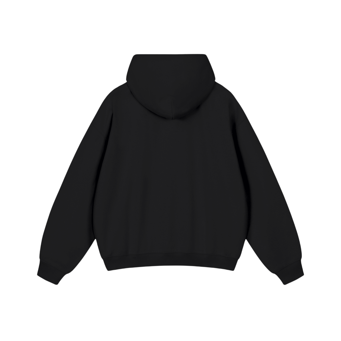 FAU Palm Hoodie