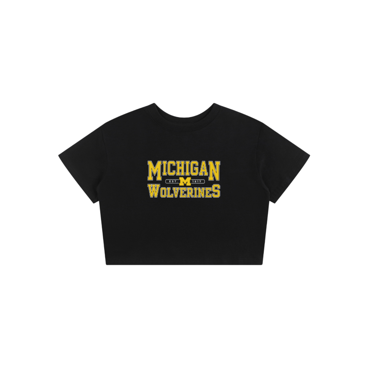 Michigan Vintage Baby Tee