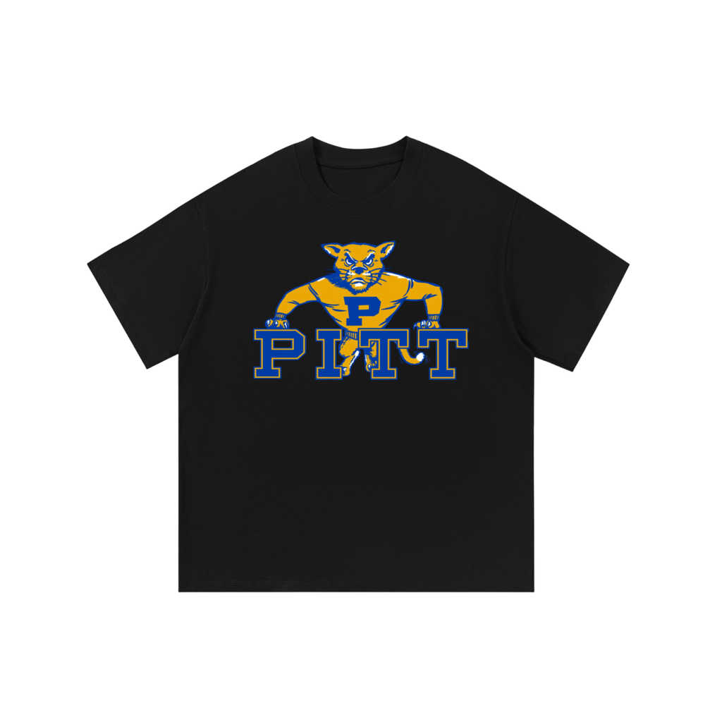 Pittsburgh Vintage Shirt