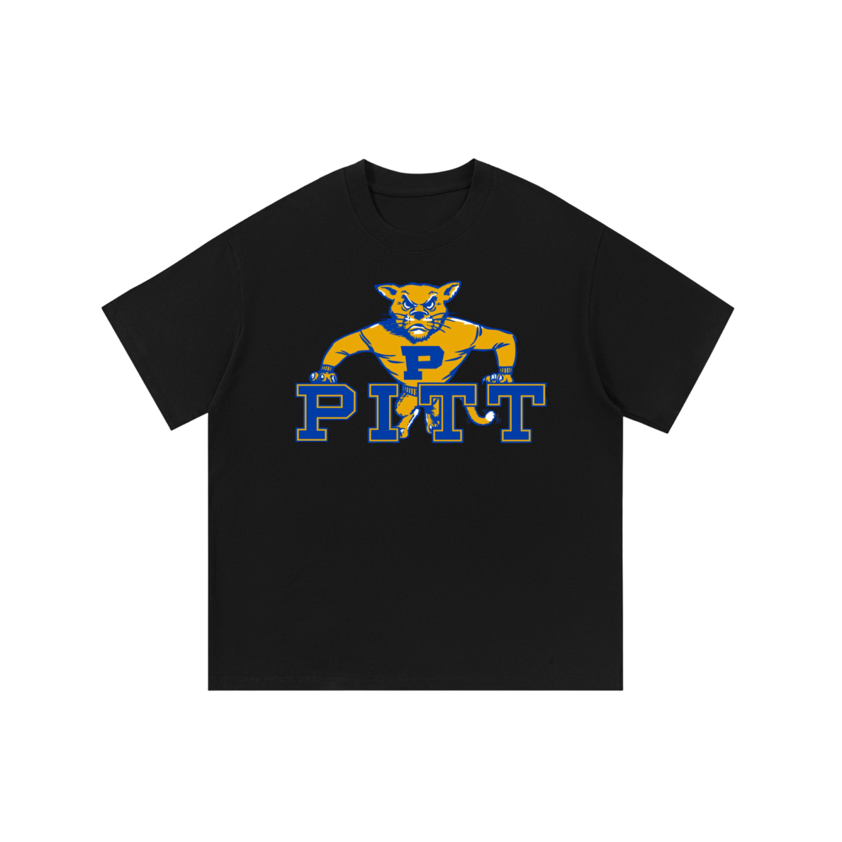 Pittsburgh Vintage Shirt