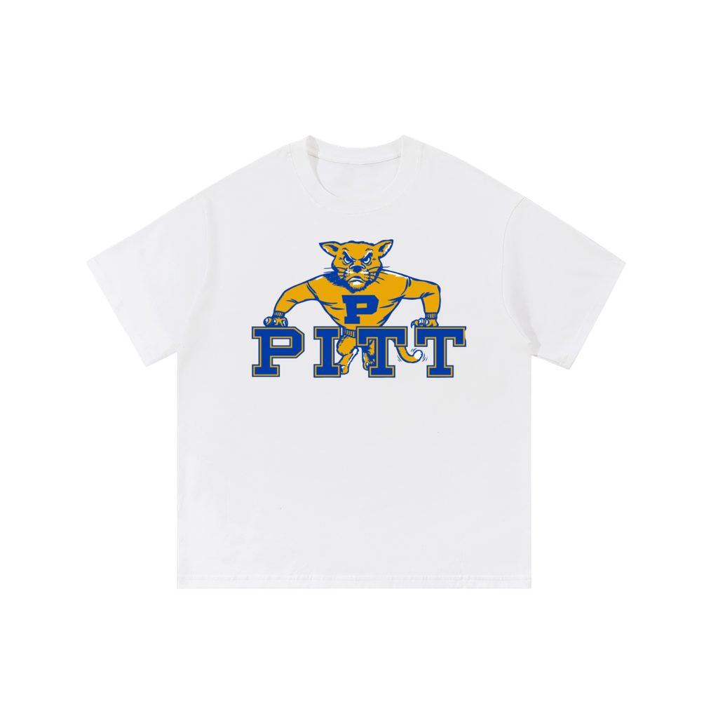 Pittsburgh Vintage Shirt