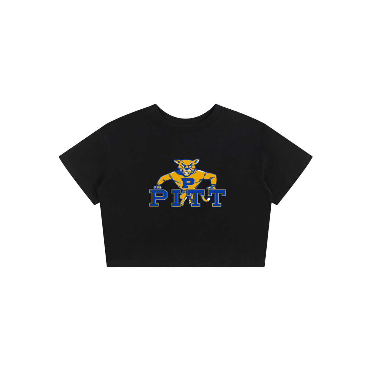 Pittsburgh Vintage Baby Tee