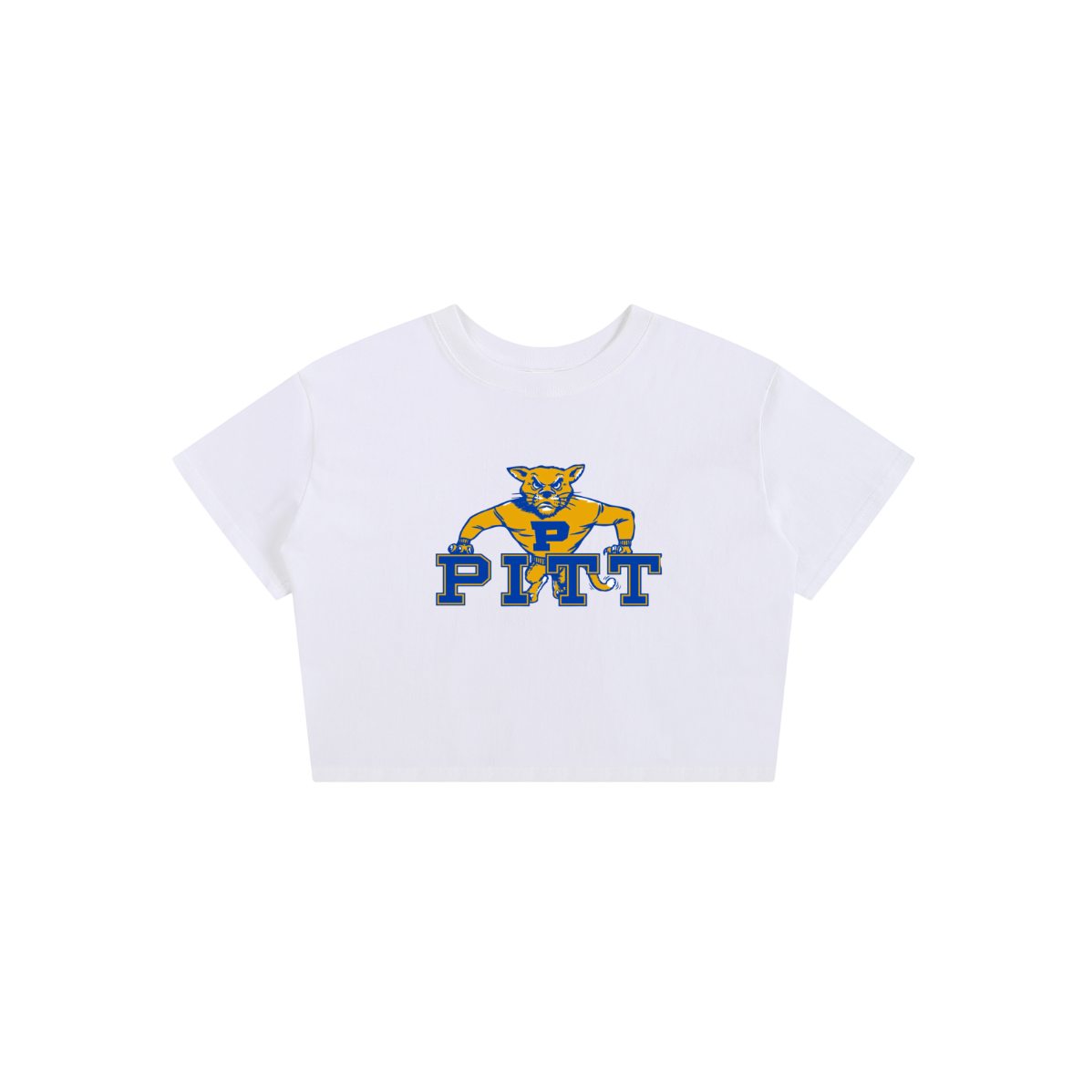 Pittsburgh Vintage Baby Tee