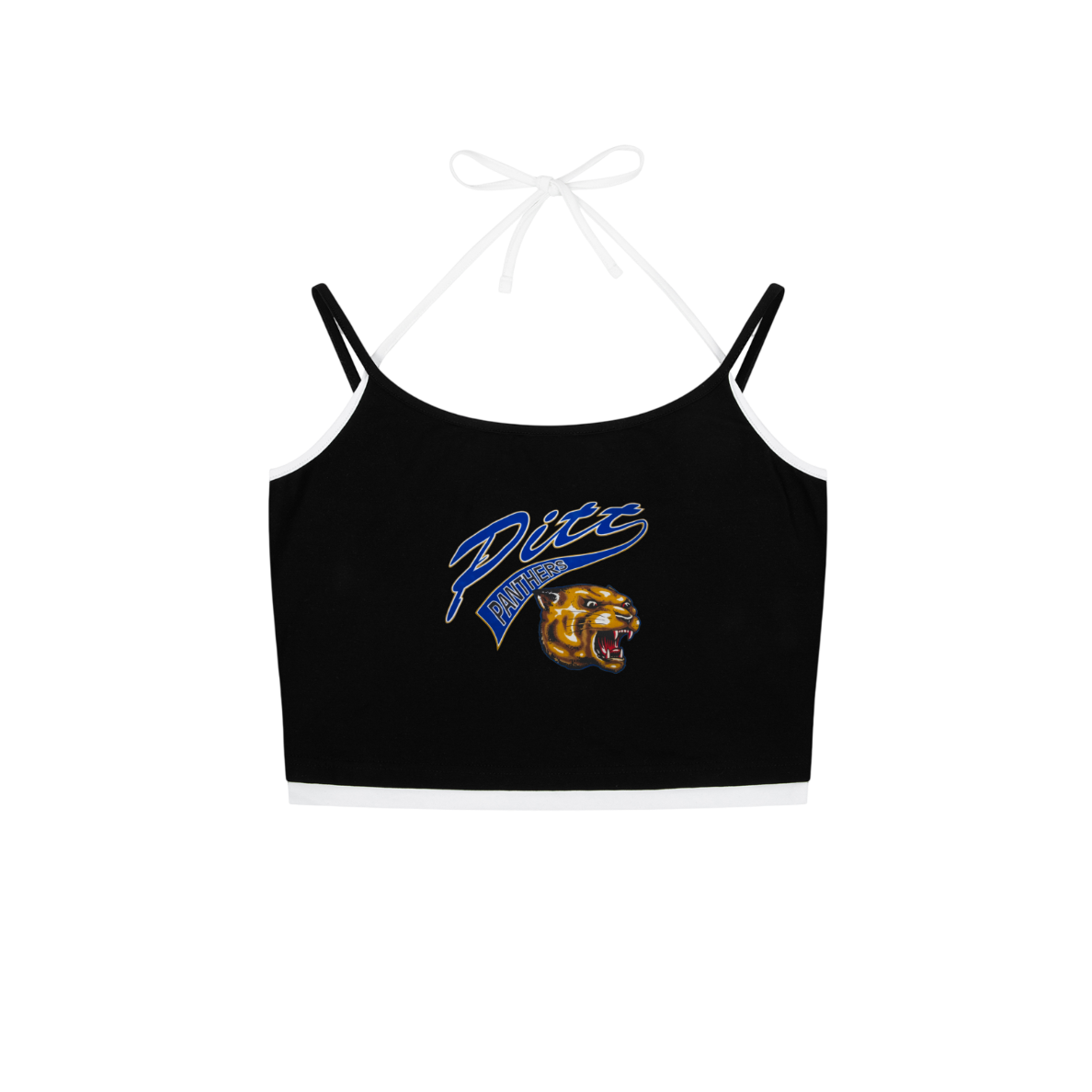 Pittsburgh Panther Tank