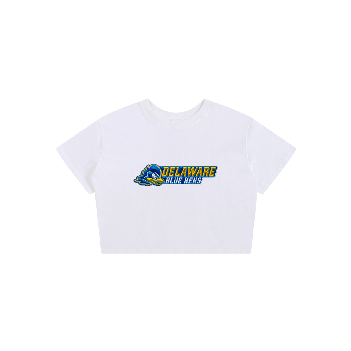Delaware Blue Hens Baby Tee