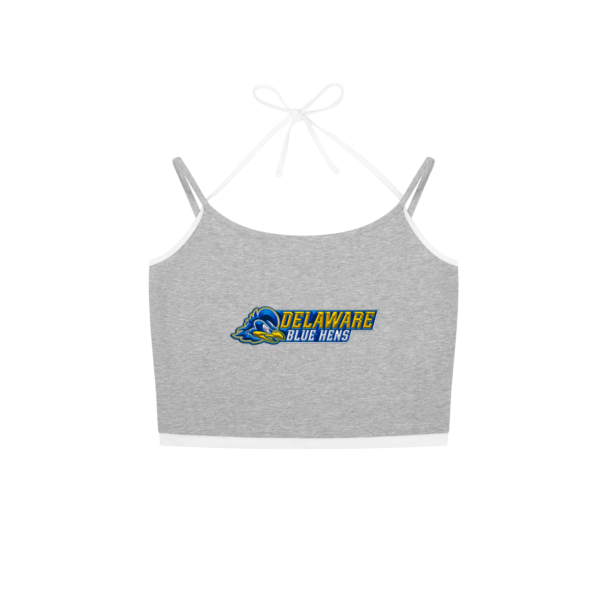 Delaware Blue Hens Tank