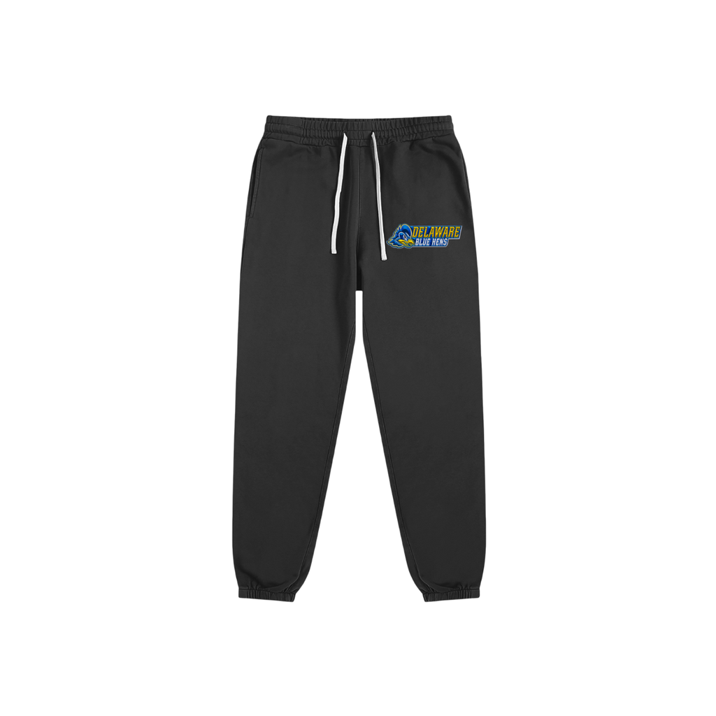 Delaware Blue Hens Sweats