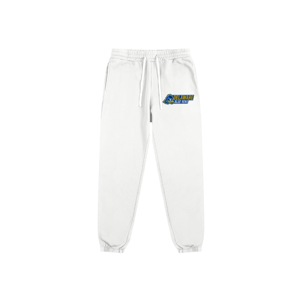 Delaware Blue Hens Sweats