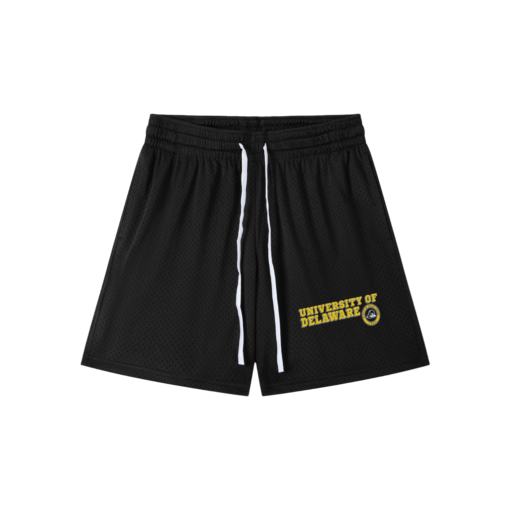 Delaware Vintage Shorts