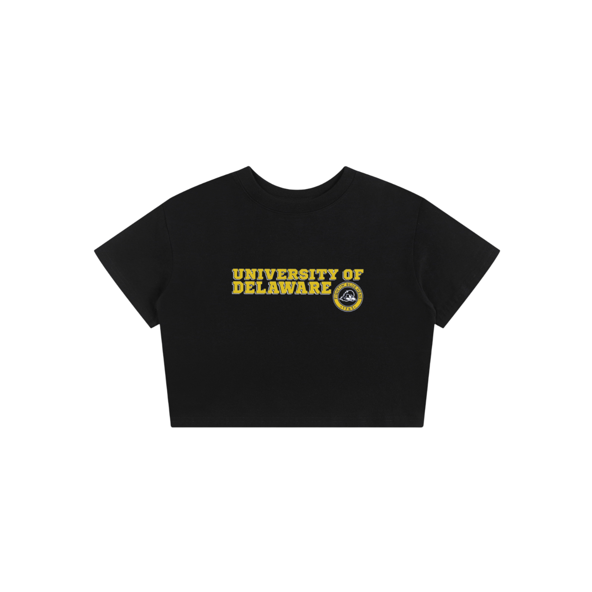 Delaware Vintage Baby Tee