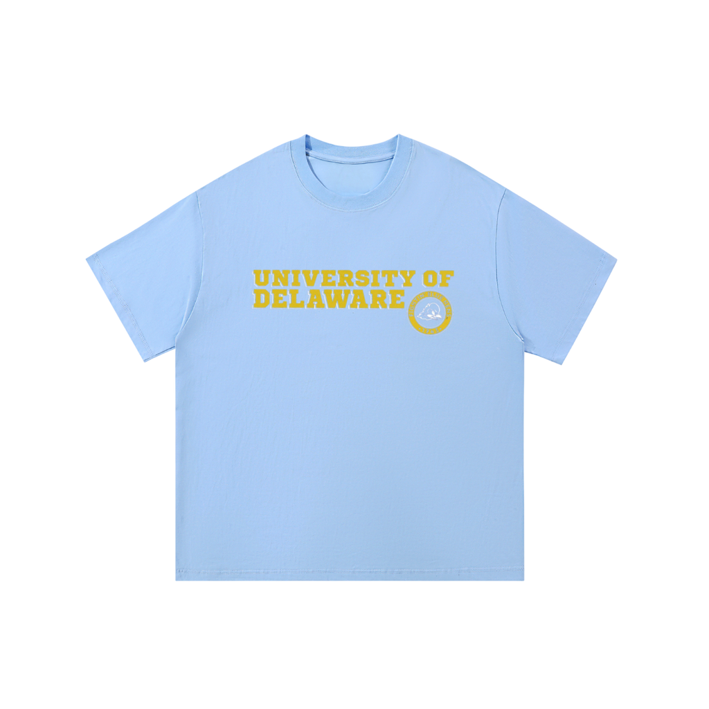 Delaware Vintage Shirt
