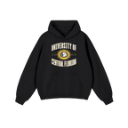 Central Florida Vintage Hoodie