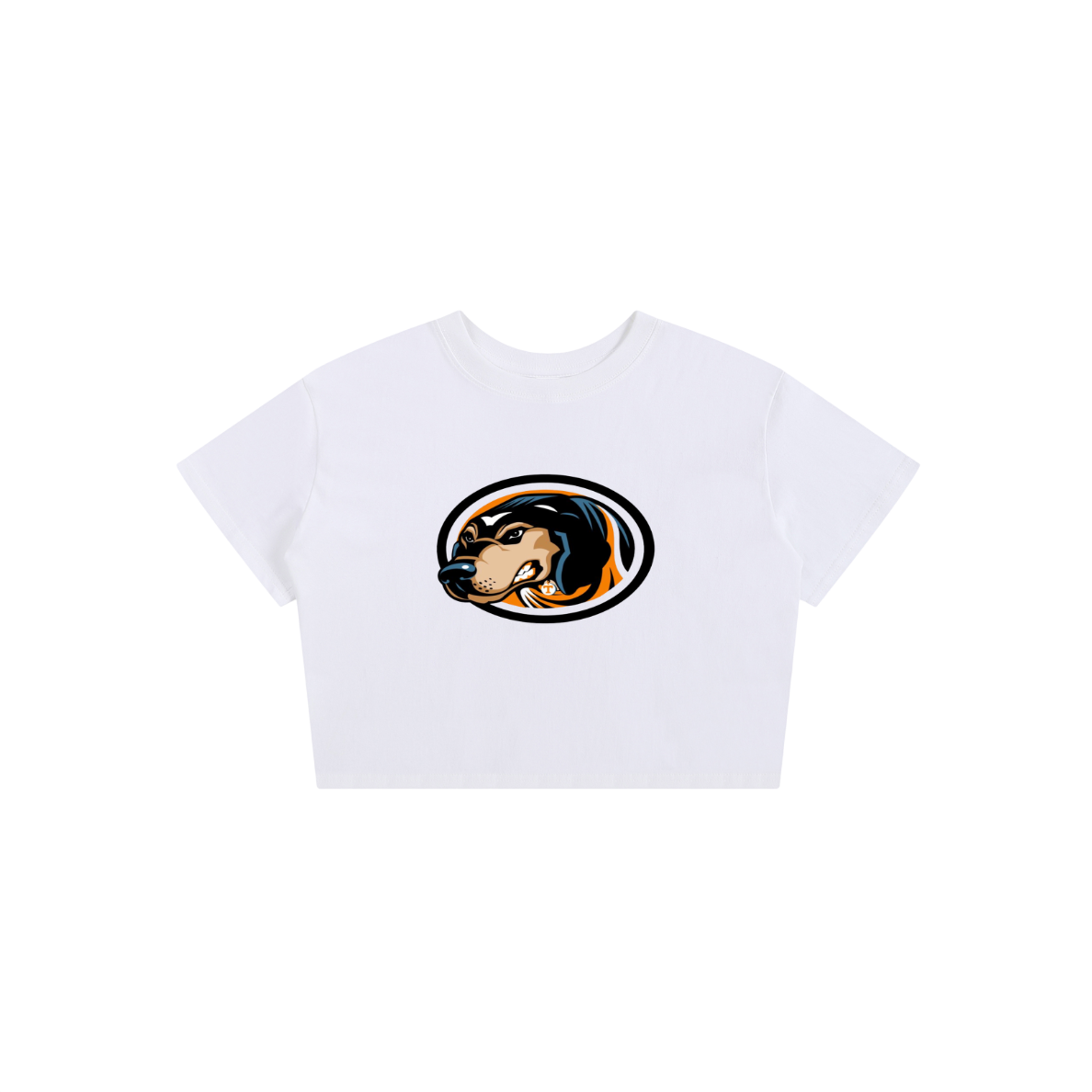 Tennessee Smokey Baby Tee