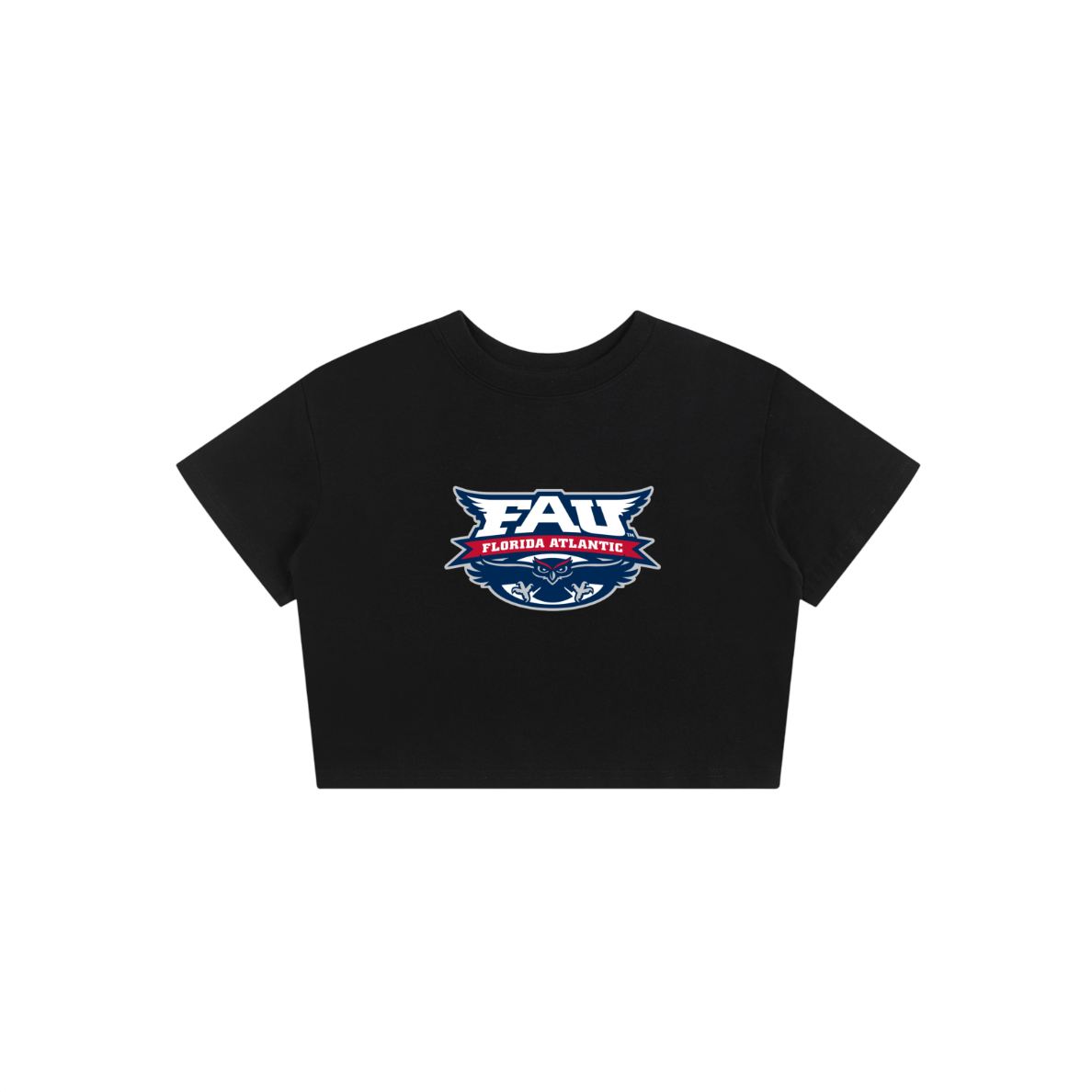 FAU Vintage Baby Tee