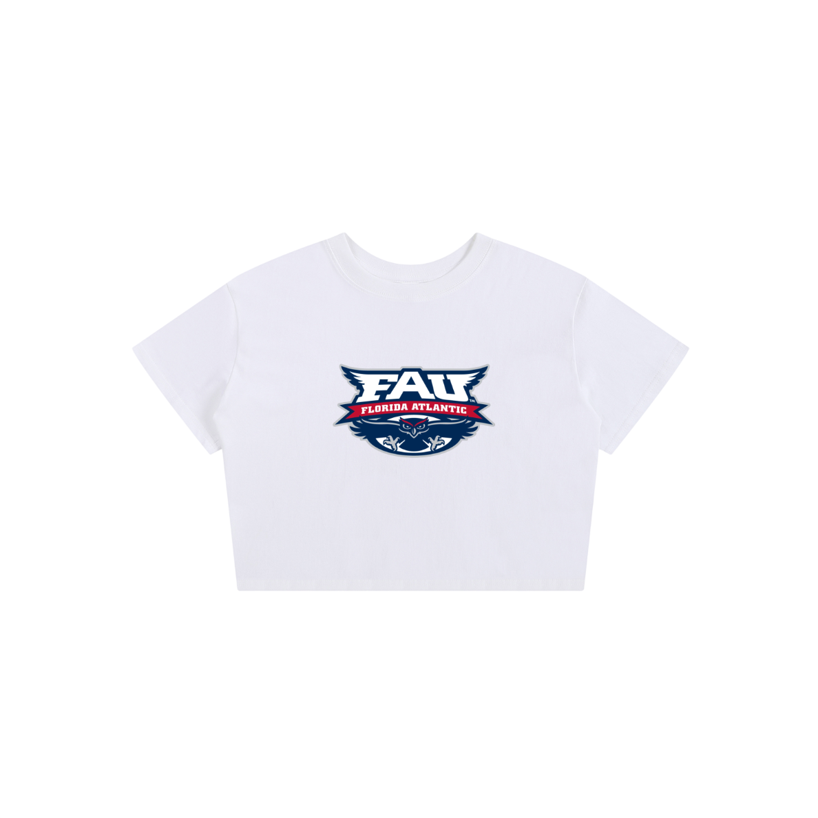 FAU Vintage Baby Tee