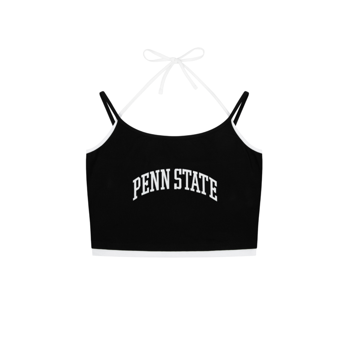 Penn State Curved Tank