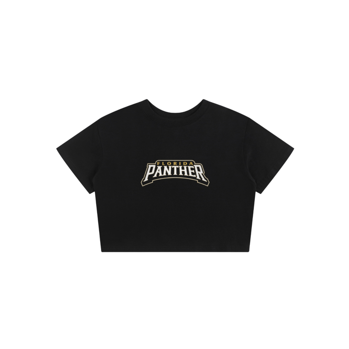 FIU Vintage Baby Tee