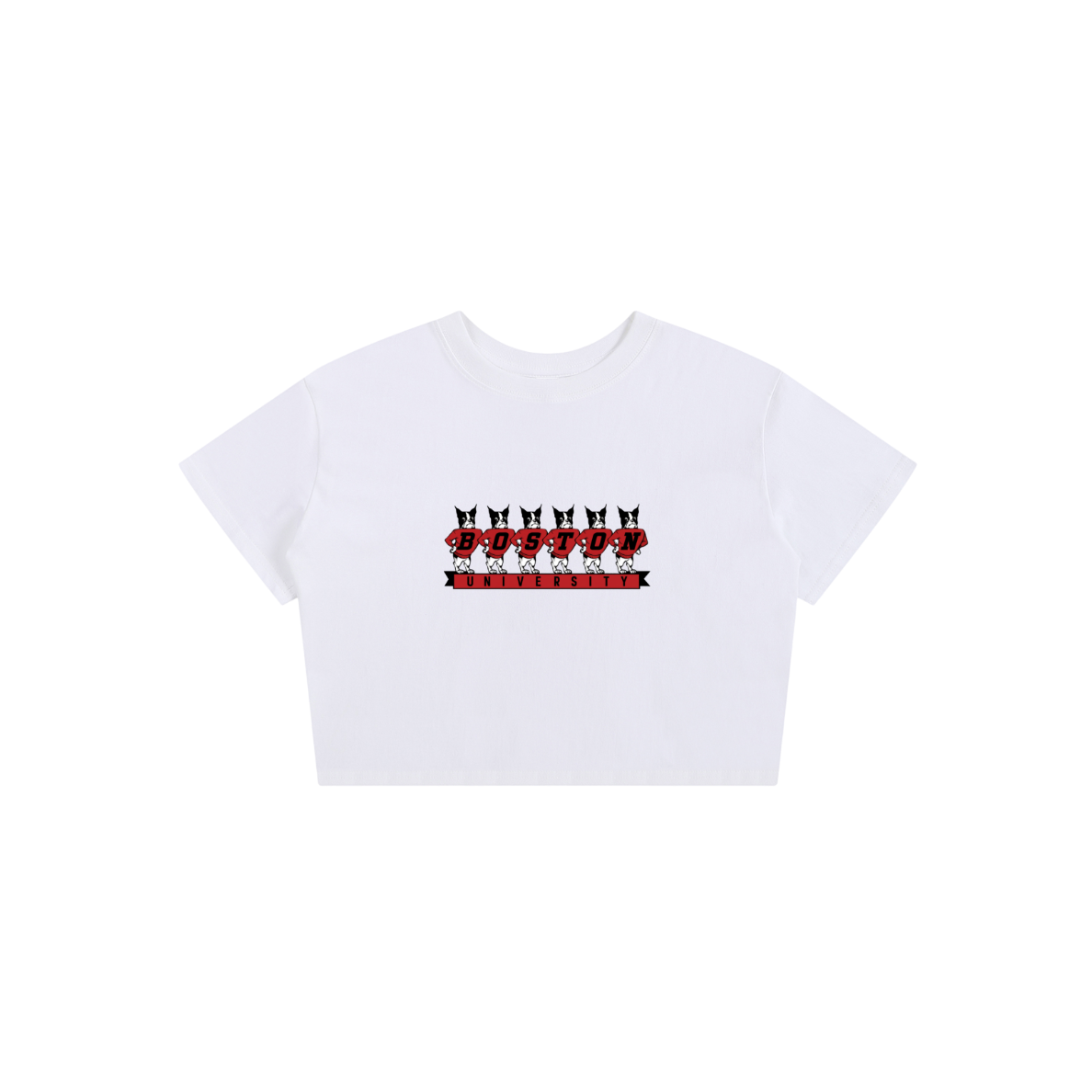 Boston Vintage Baby Tee