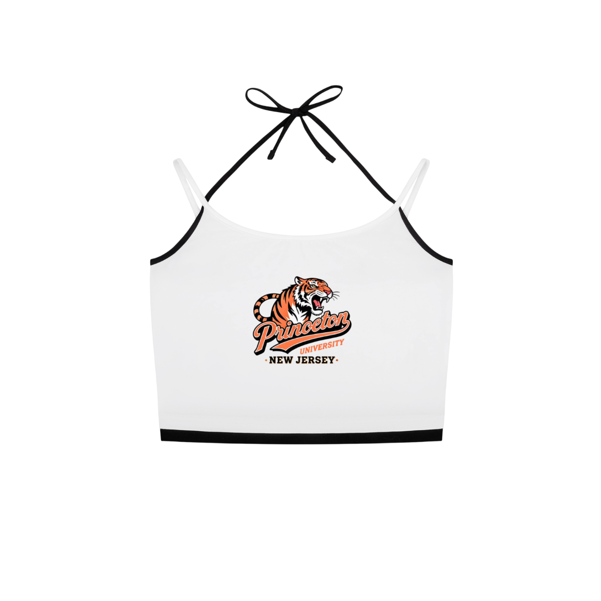 Princeton Tiger Tank