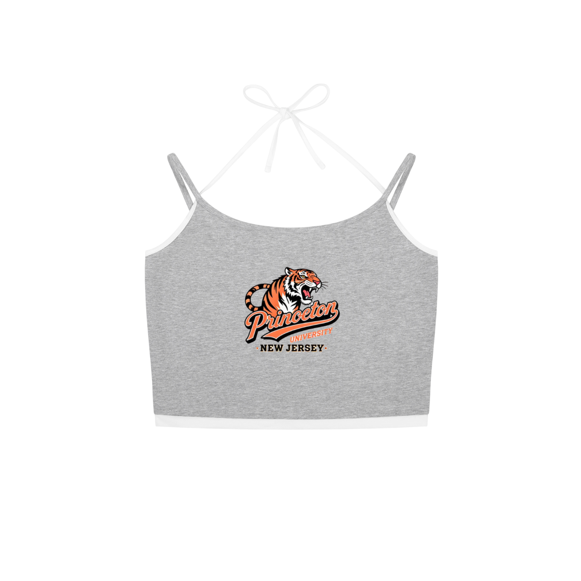 Princeton Tiger Tank