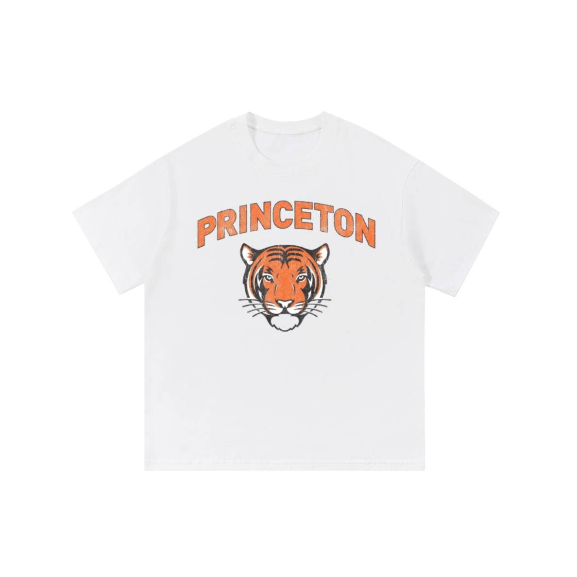 Princeton Vintage Shirt