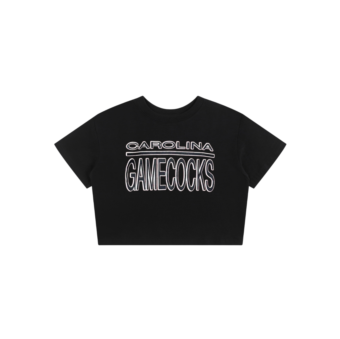South Carolina Vintage Baby Tee