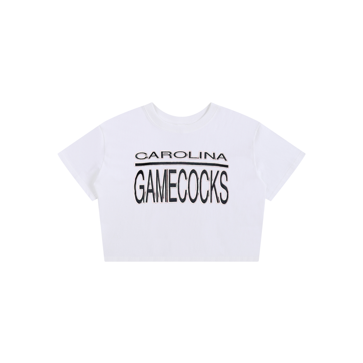 South Carolina Vintage Baby Tee