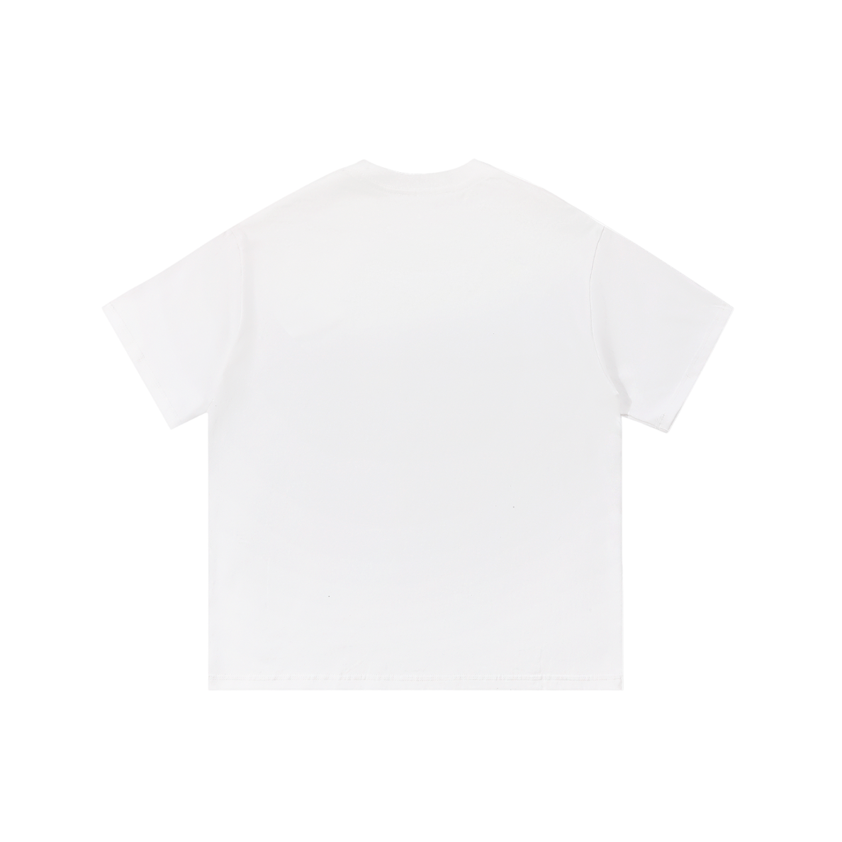Pittsburgh Mascot Shirt